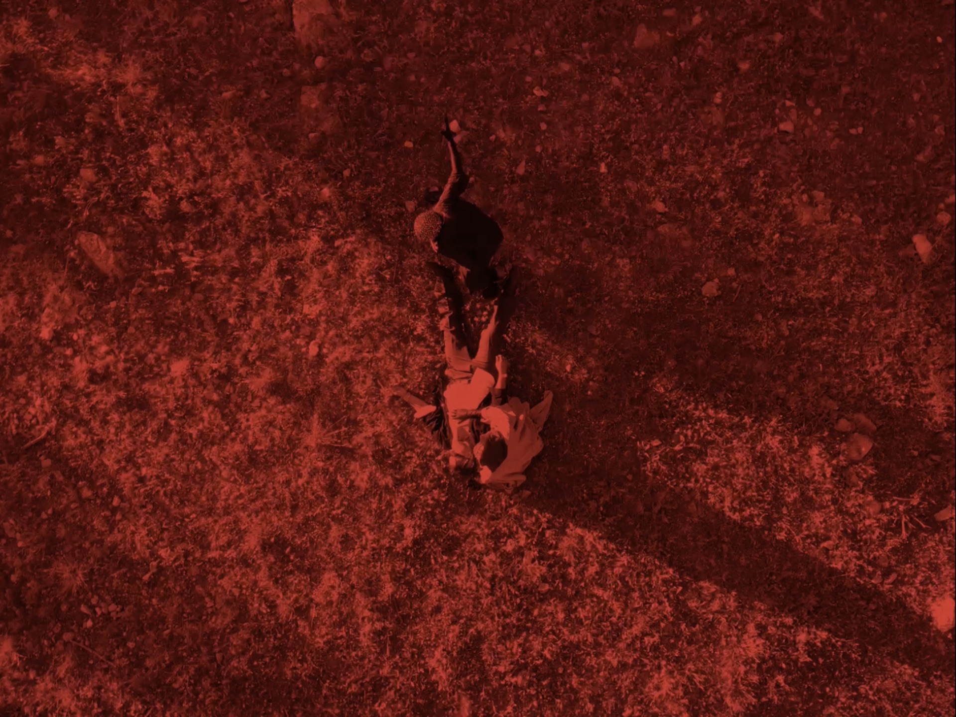 Drone — Topshot